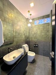 Ann Siang Road (D1), Shop House #481863581